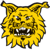 Ilves Tampere