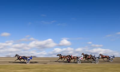 Speltips: Skrivet material till V75 på Romme 25/2