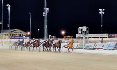 Speltips: V86 Xpress på Jägersro & Solvalla 14/2.