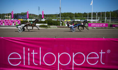 Reportage: Elitloppets första inbjudan kom tidigt lördag kväll i TV4.