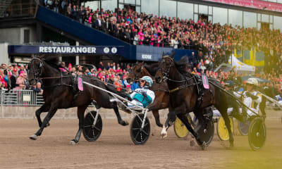 Reportage: Frankrikekoll med Prix de France startlista & intressant nyförvärv för Goop.