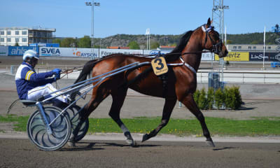 Speltips: V86 X-press på Åby & Solvalla 25/10.