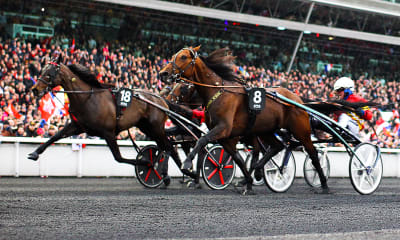 Speltips: Skrivet material till V75 på Åby 9/12