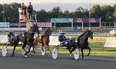 Speltips: V86-tips till Solvalla, 19 juni