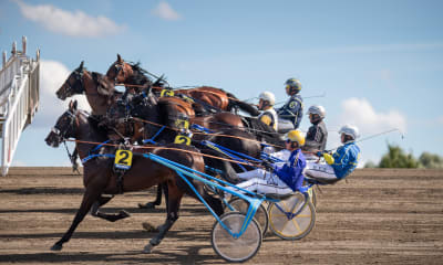 Speltips: Skrivet material till V75 med 34 Miljoner i JP på Boden 17/6, 20:30.