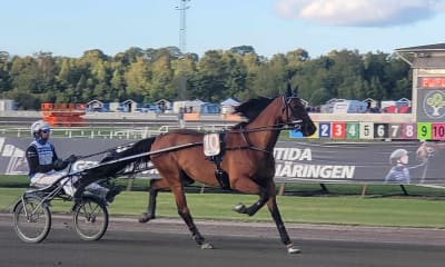 Speltips: 22 Miljoner i V86-Jackpot på Åby & Solvalla 15/5