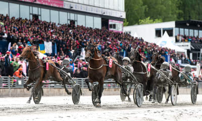 Speltips: Dagens Dubbel Tips till Solvalla tisdag 25/6