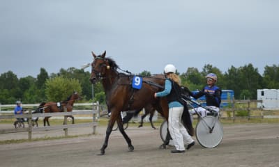 Speltips: 15 Miljoner i V86-Jackpot på Bergsåker & Solvalla 10/1.