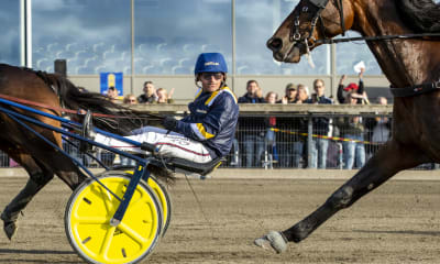 Speltips: V86-Express på Åby & Solvalla 7/9