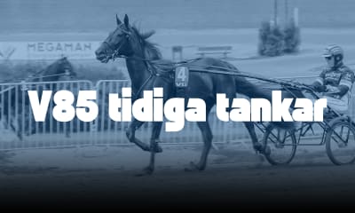 Speltips: Tidiga tankar - V85 Halmstad(Jackpot) - 20/12