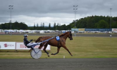 Speltips: 25 Miljoner i Jackpot då V86 Xpress går på Bergsåker och Solvalla 11/10.