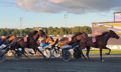 Speltips: Dagens Dubbel Tips till Halmstad/Romme fredag 28/7