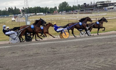 Speltips: Dagens Dubbel Tips till Jarlsberg/Romme fredag 12/1