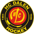HC Dalen