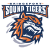 Bridgeport Islanders