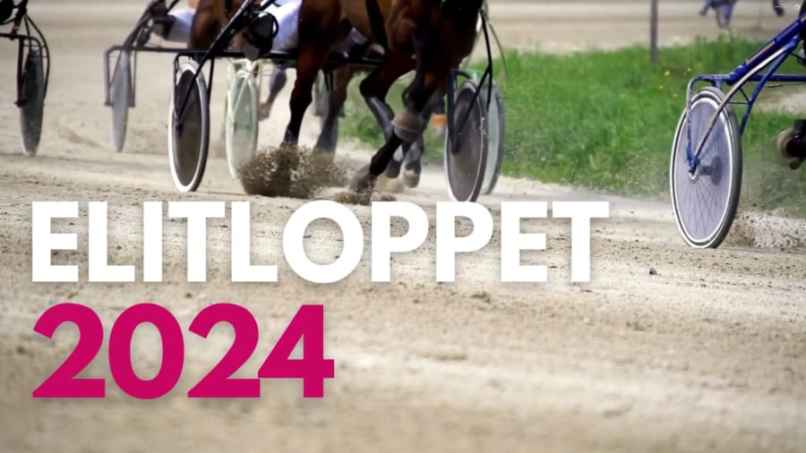 Lucky Days Elitloppet