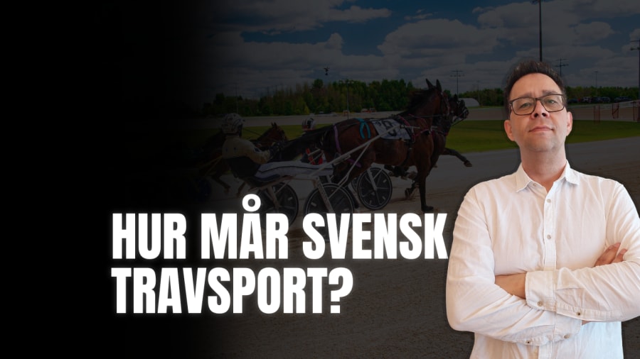 Hur mår svensk travsport