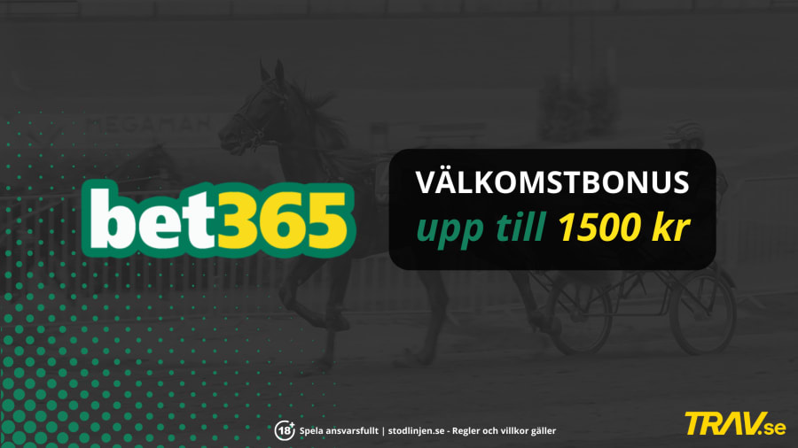 bet365 ny bonus 2024