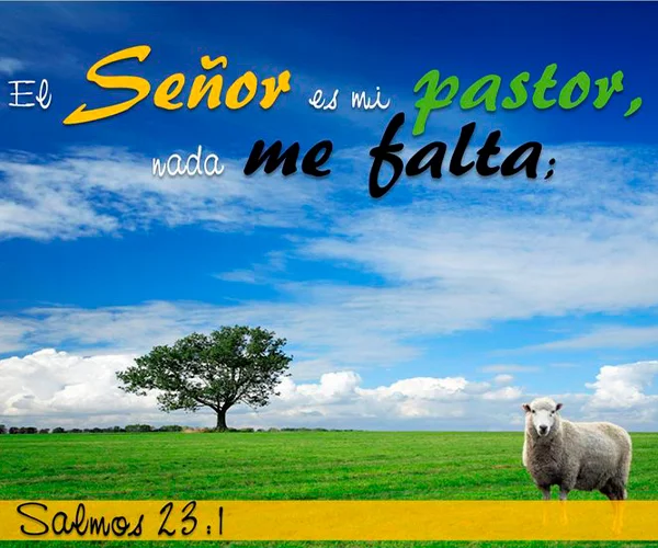 Galería 9