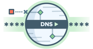 ExpressVPN DNS requests are protected.