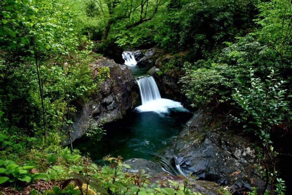Hacı Mehmet Şelalesi — Rize doğa ve parklar