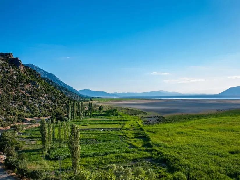 Acıgöl Kuş Cenneti — Afyonkarahisar doğa ve parklar