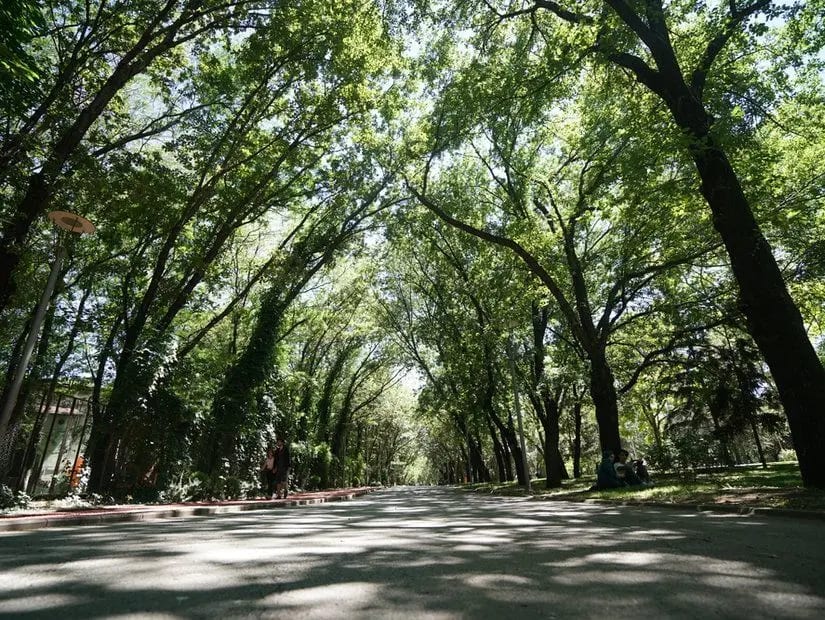Kurtuluş Parkı — Ankara doğa ve parklar