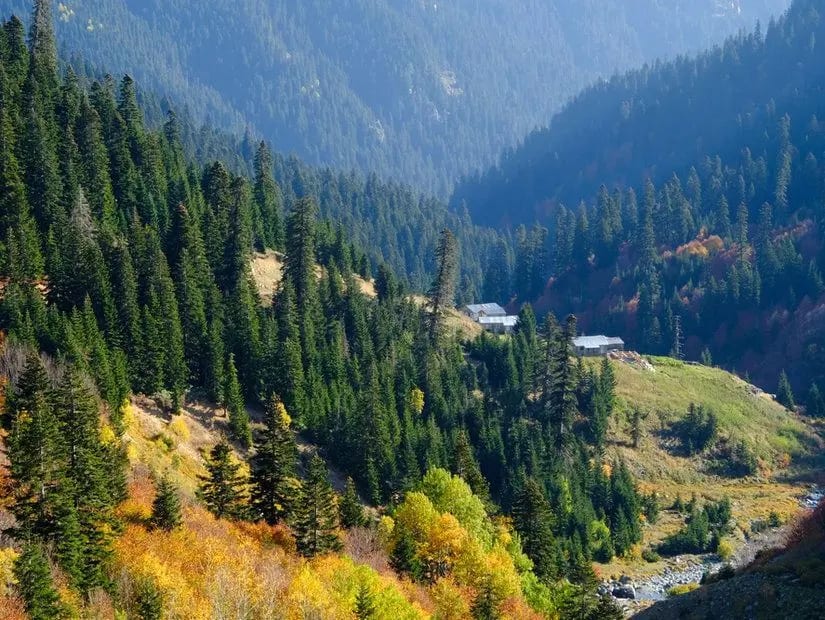 Papart Düzü (Papart Yaylası) — Artvin doğa ve parklar