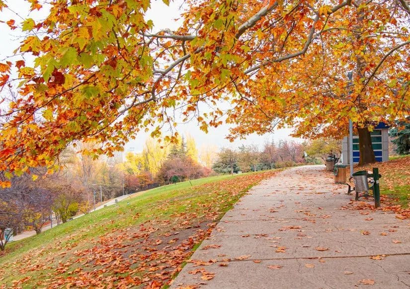 Seğmenler Parkı — Ankara doğa ve parklar
