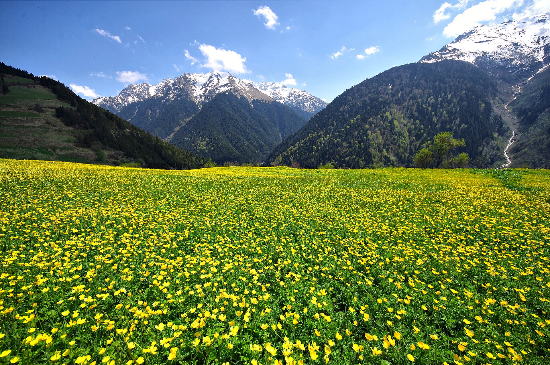 Çat Köyü — Rize doğa ve parklar