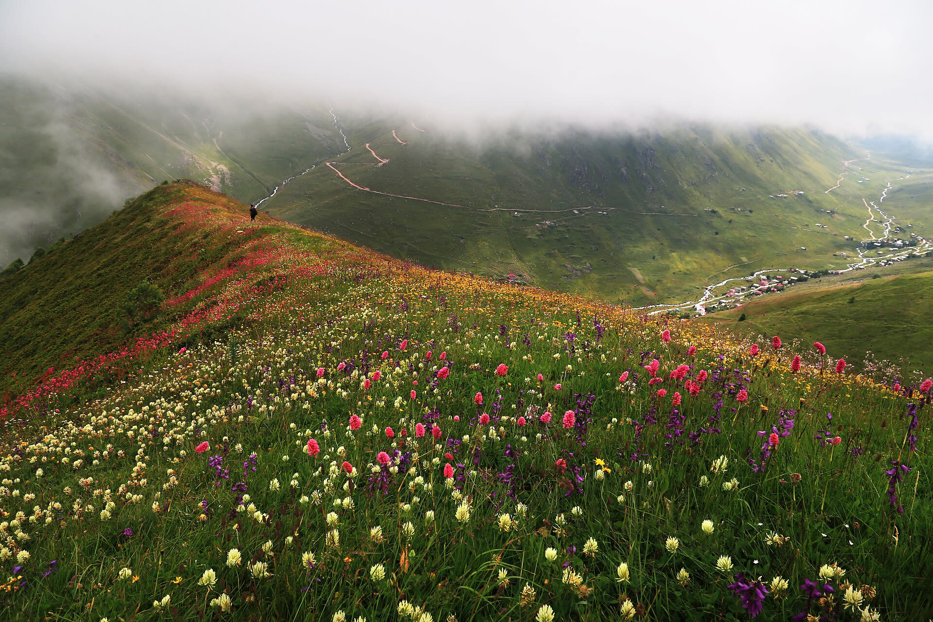 Çiçekli Yaylası — Rize doğa ve parklar