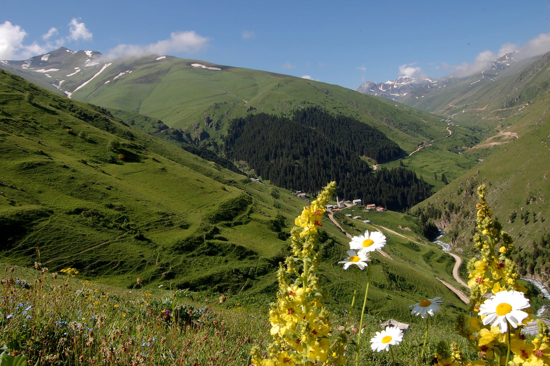 Anzer Yaylası — Rize doğa ve parklar