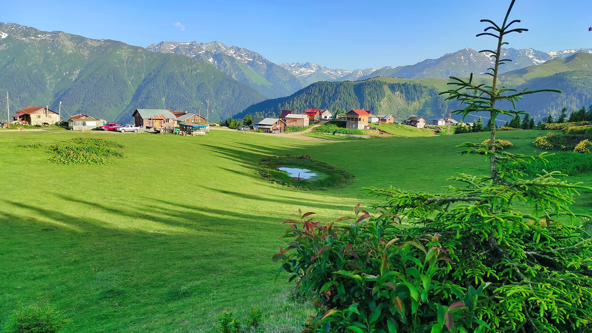 Badara Yaylası — Rize doğa ve parklar
