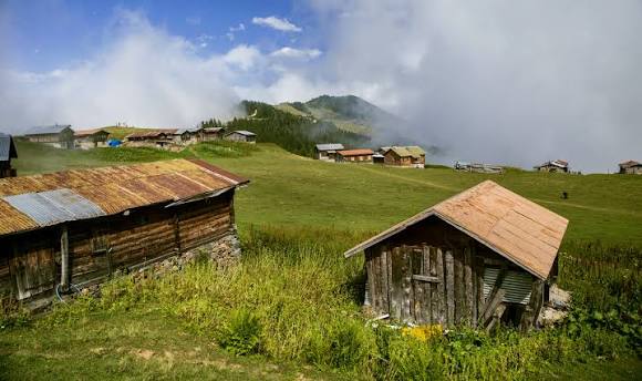 Sal Yaylası — Rize doğa ve parklar