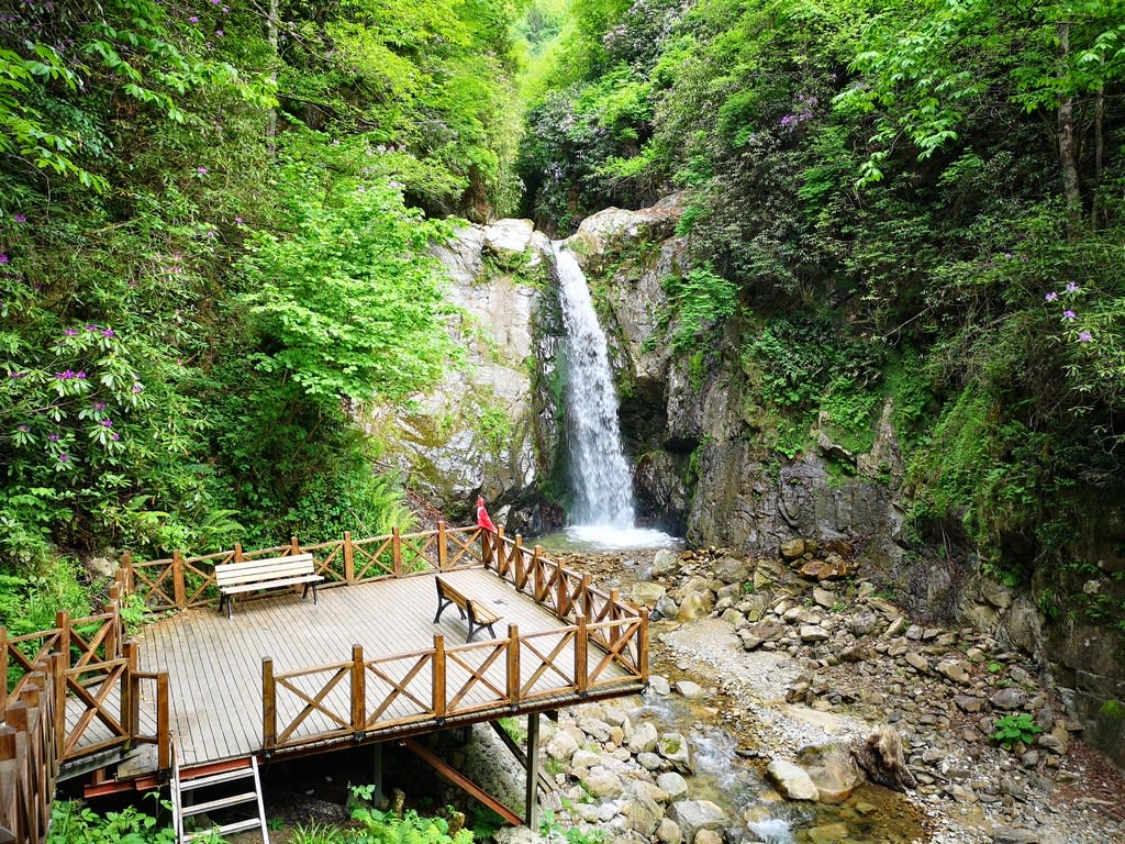 Akyamaç Şelalesi Tabiat Parkı — Rize doğa ve parklar