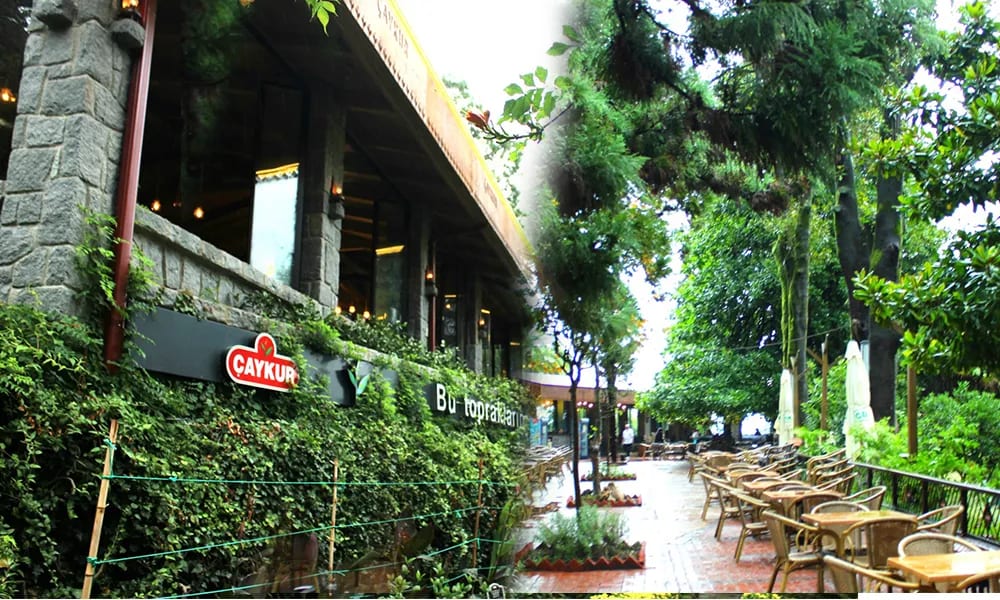 Ziraat Çay Bahçesi — Rize doğa ve parklar