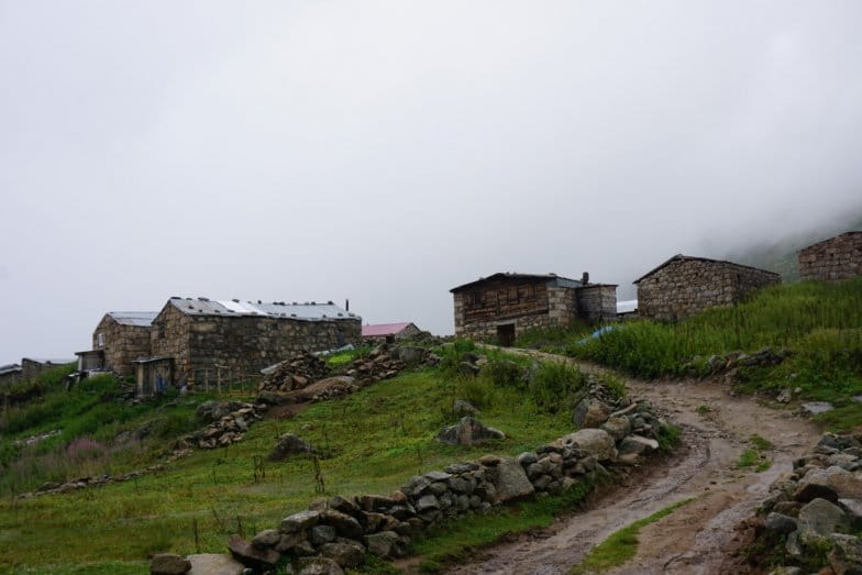 Samistal Yaylası — Rize doğa ve parklar