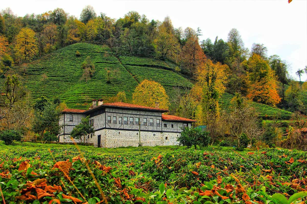 Çağlayan Köyü Laz Konakları — Rize tarihi yerler