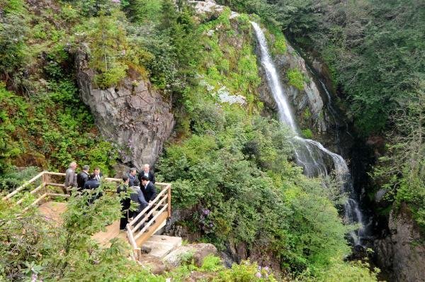 Arapdüzü Mesire Alanı — Rize doğa ve parklar