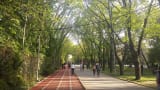 Kurtuluş Parkı