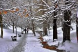 Seğmenler Parkı