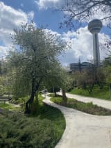 Botanik Parkı