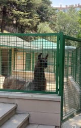 Keçiören Evcil Hayvanlar Parkı