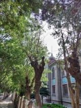 Mısri Cami