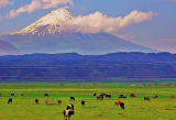 Küçükağrı Dağı