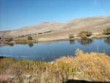 Murat Nehri