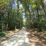 Sakarya İl Ormanı Tabiat Parkı
