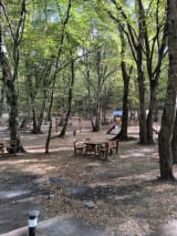 Falih Rıfkı Atay Tabiat Parkı