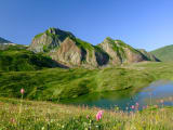 Arsiyan Yaylası