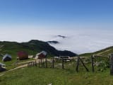 Sırt Yayla